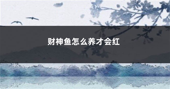 财神鱼怎么养才会红