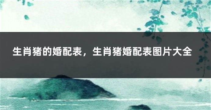 生肖猪的婚配表，生肖猪婚配表图片大全