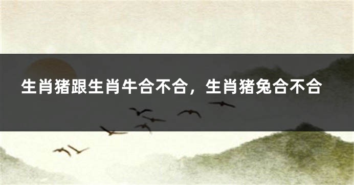 生肖猪跟生肖牛合不合，生肖猪兔合不合