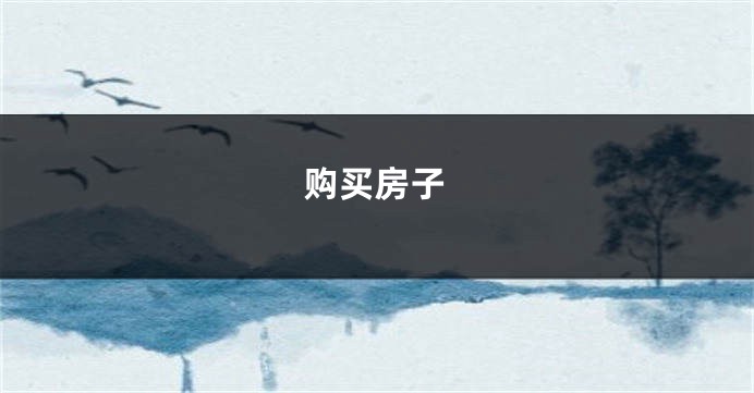 购买房子
