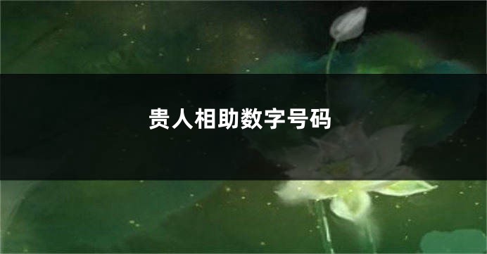 贵人相助数字号码