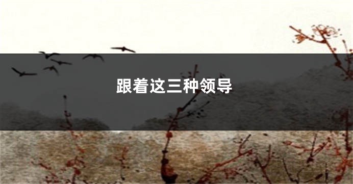 跟着这三种领导
