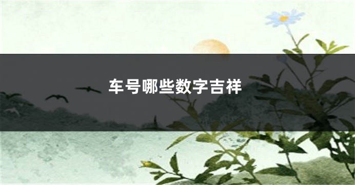 车号哪些数字吉祥