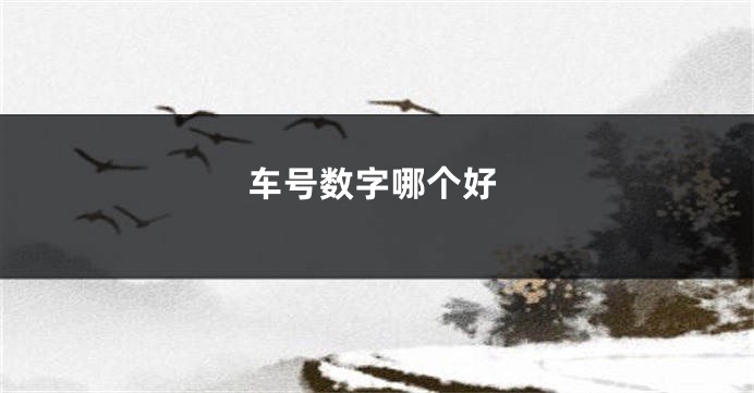 车号数字哪个好