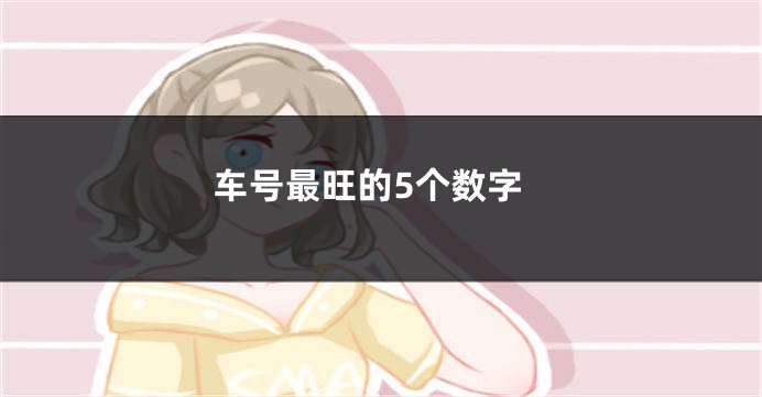 车号最旺的5个数字