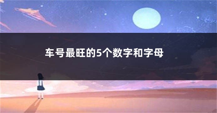 车号最旺的5个数字和字母