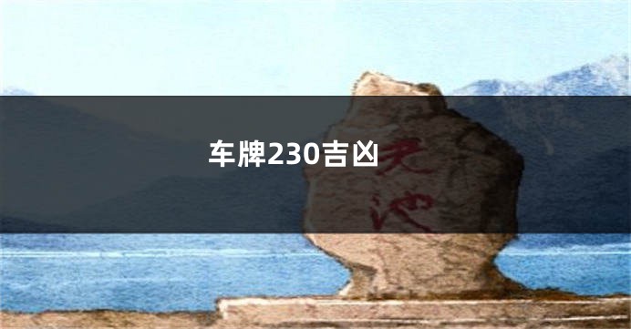 车牌230吉凶
