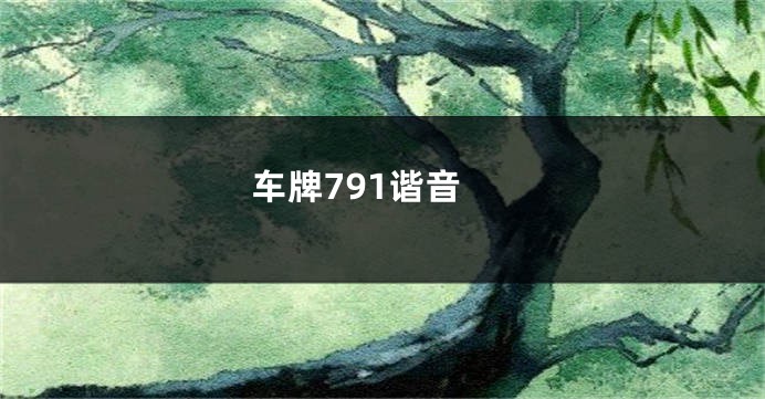 车牌791谐音