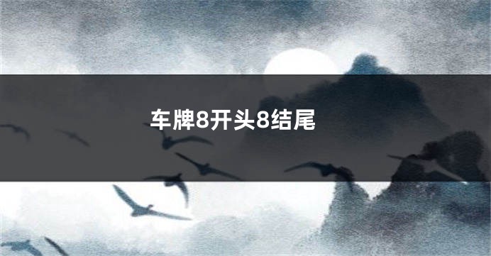 车牌8开头8结尾