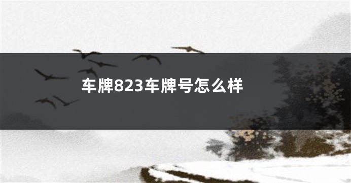 车牌823车牌号怎么样