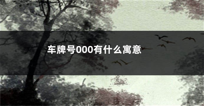 车牌号000有什么寓意
