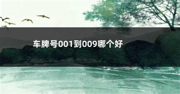 车牌号001到009哪个好