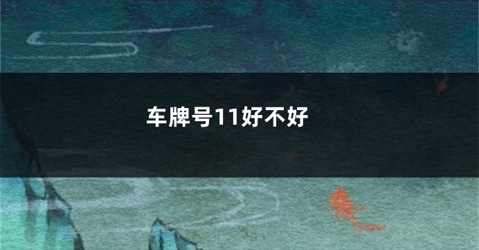 车牌号11好不好