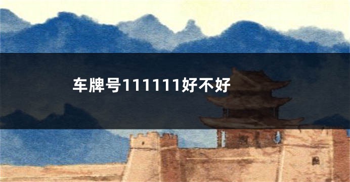 车牌号111111好不好