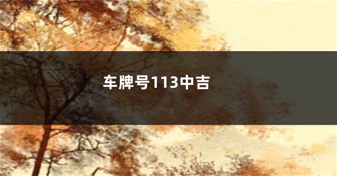 车牌号113中吉