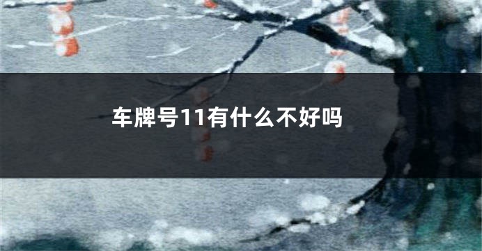 车牌号11有什么不好吗