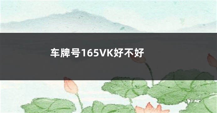 车牌号165VK好不好