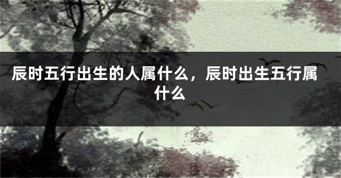 辰时五行出生的人属什么，辰时出生五行属什么