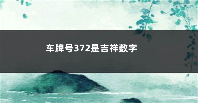 车牌号372是吉祥数字