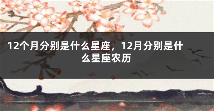 12个月分别是什么星座，12月分别是什么星座农历