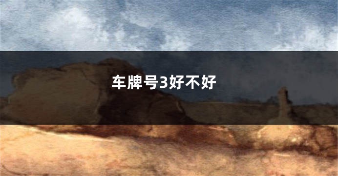 车牌号3好不好