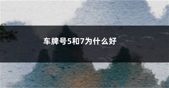 车牌号5和7为什么好