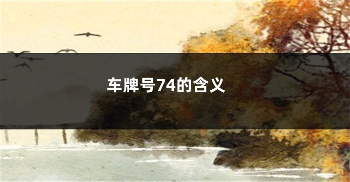 车牌号74的含义