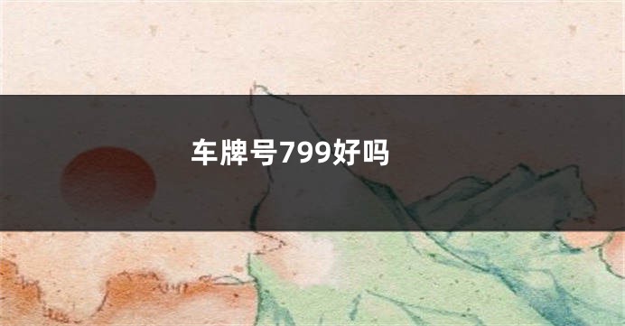 车牌号799好吗