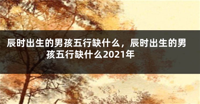 辰时出生的男孩五行缺什么，辰时出生的男孩五行缺什么2021年