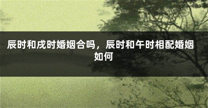 辰时和戌时婚姻合吗，辰时和午时相配婚姻如何