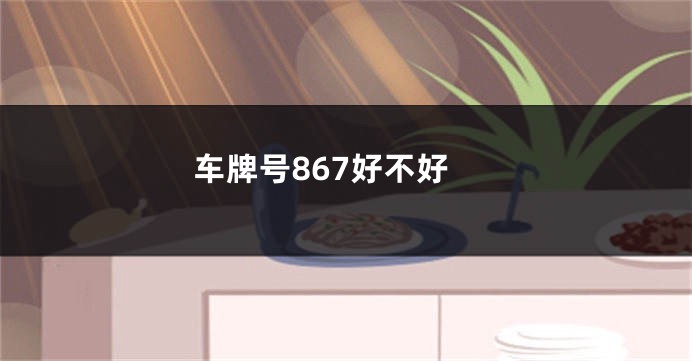 车牌号867好不好