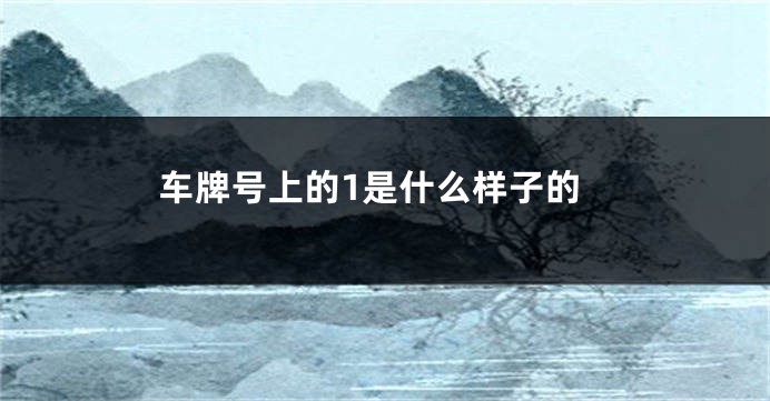 车牌号上的1是什么样子的