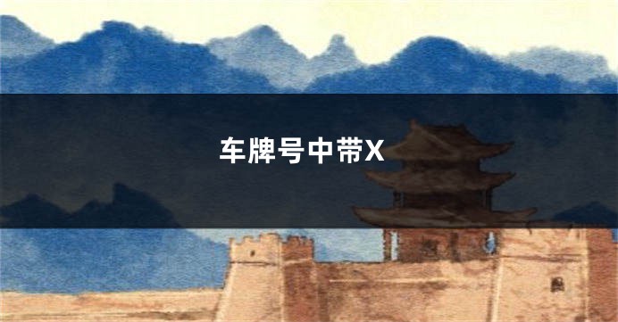 车牌号中带X