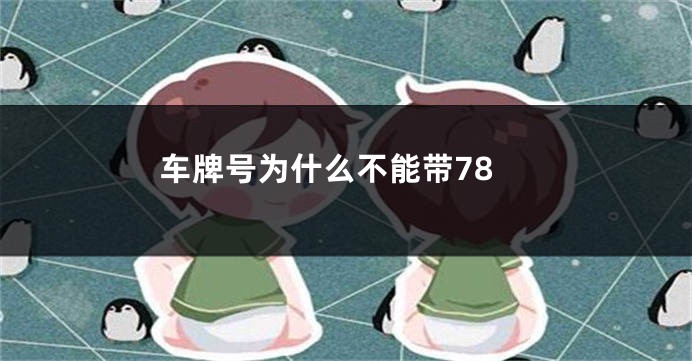 车牌号为什么不能带78