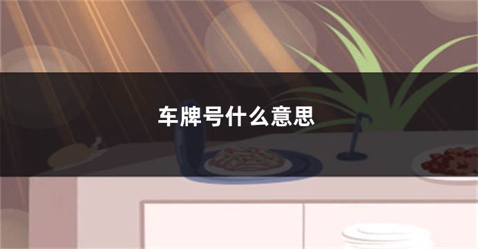 车牌号什么意思