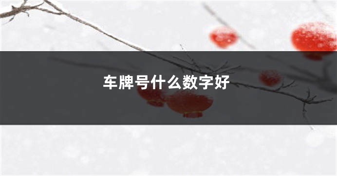 车牌号什么数字好