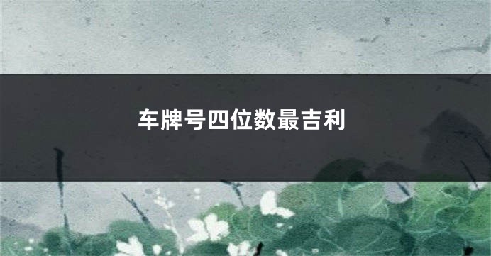 车牌号四位数最吉利