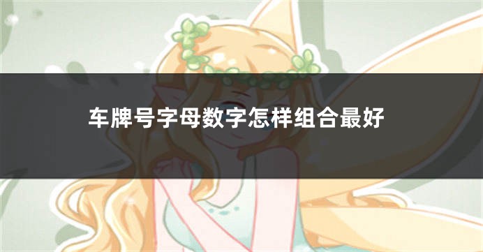 车牌号字母数字怎样组合最好