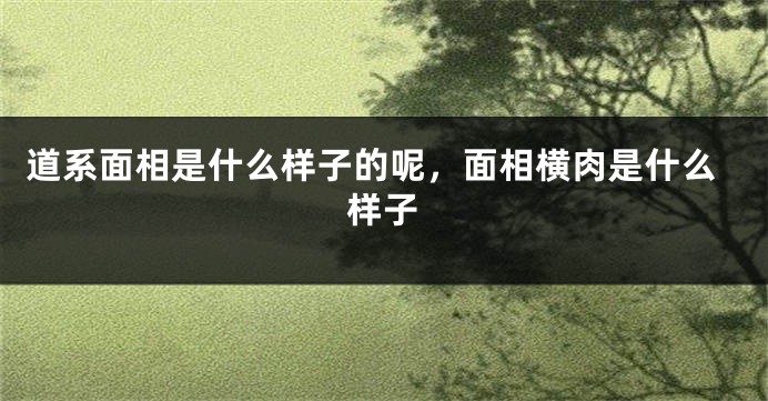 道系面相是什么样子的呢，面相横肉是什么样子
