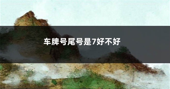 车牌号尾号是7好不好