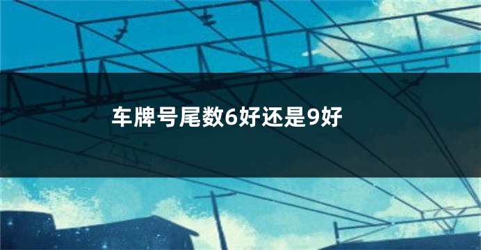 车牌号尾数6好还是9好