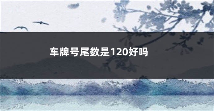 车牌号尾数是120好吗