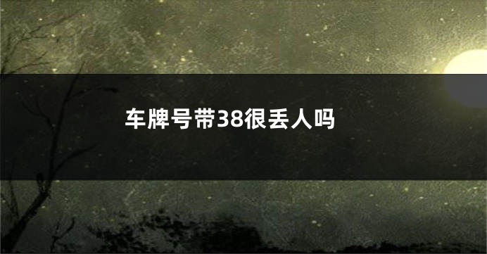车牌号带38很丢人吗