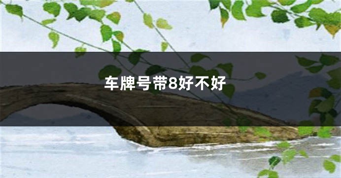 车牌号带8好不好