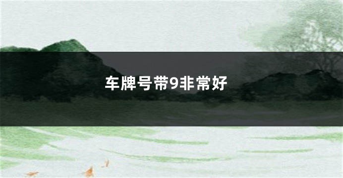 车牌号带9非常好