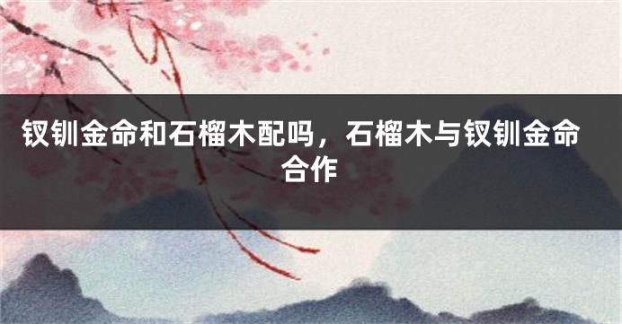 钗钏金命和石榴木配吗，石榴木与钗钏金命合作