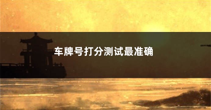 车牌号打分测试最准确