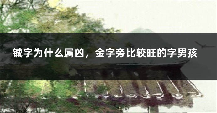 铖字为什么属凶，金字旁比较旺的字男孩