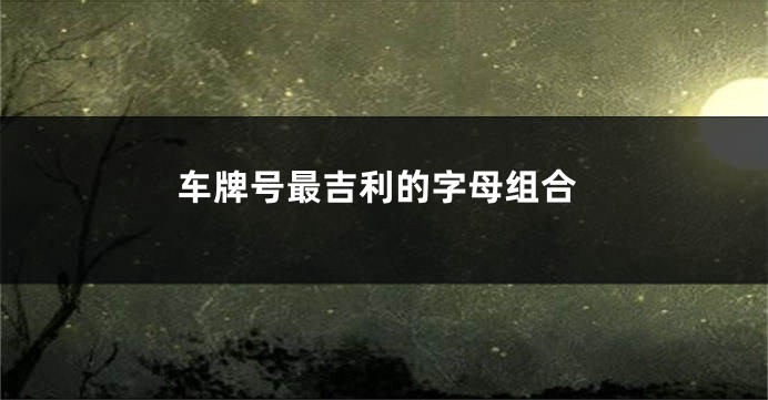 车牌号最吉利的字母组合