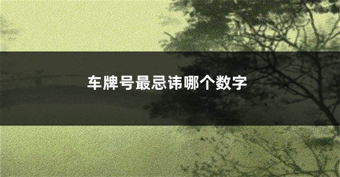 车牌号最忌讳哪个数字